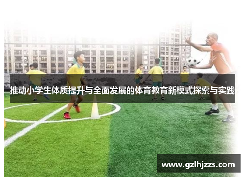 推动小学生体质提升与全面发展的体育教育新模式探索与实践