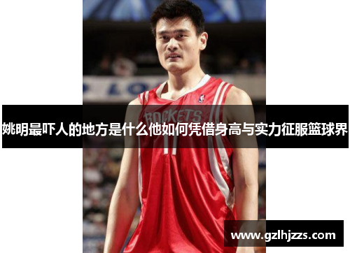 姚明最吓人的地方是什么他如何凭借身高与实力征服篮球界