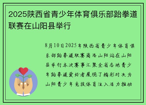 2025陕西省青少年体育俱乐部跆拳道联赛在山阳县举行